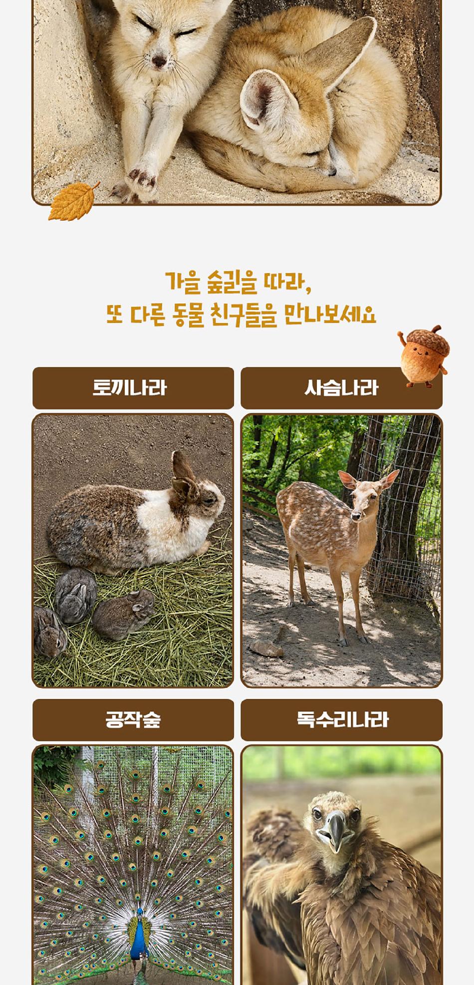 상품 상세 이미지 13