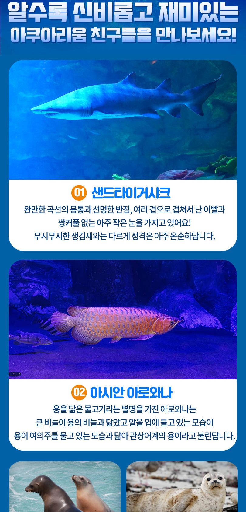 상품 상세 이미지 9