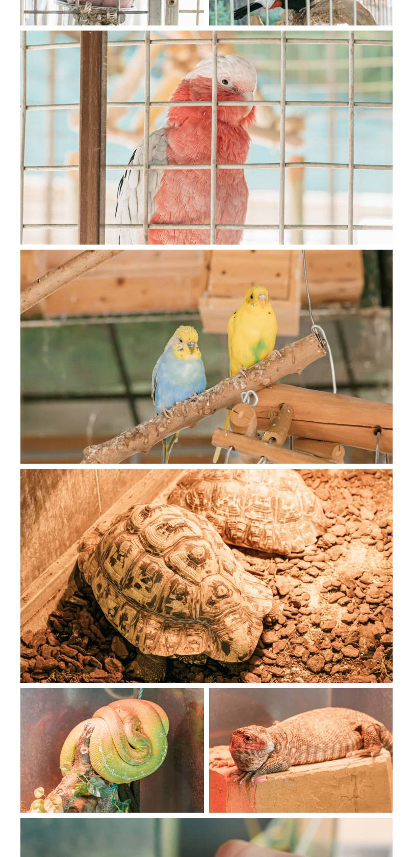 상품 상세 이미지 5