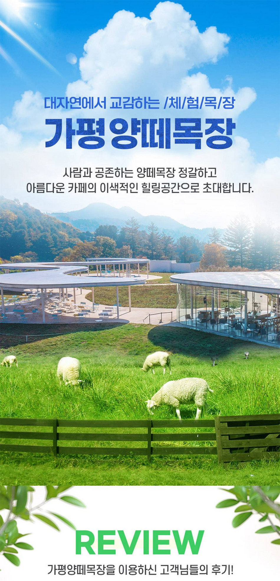 가평 양떼목장 입장권