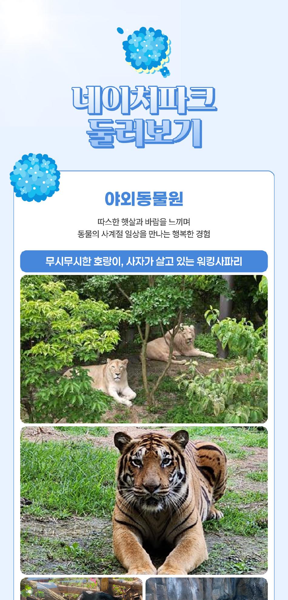 상품 상세 이미지 14