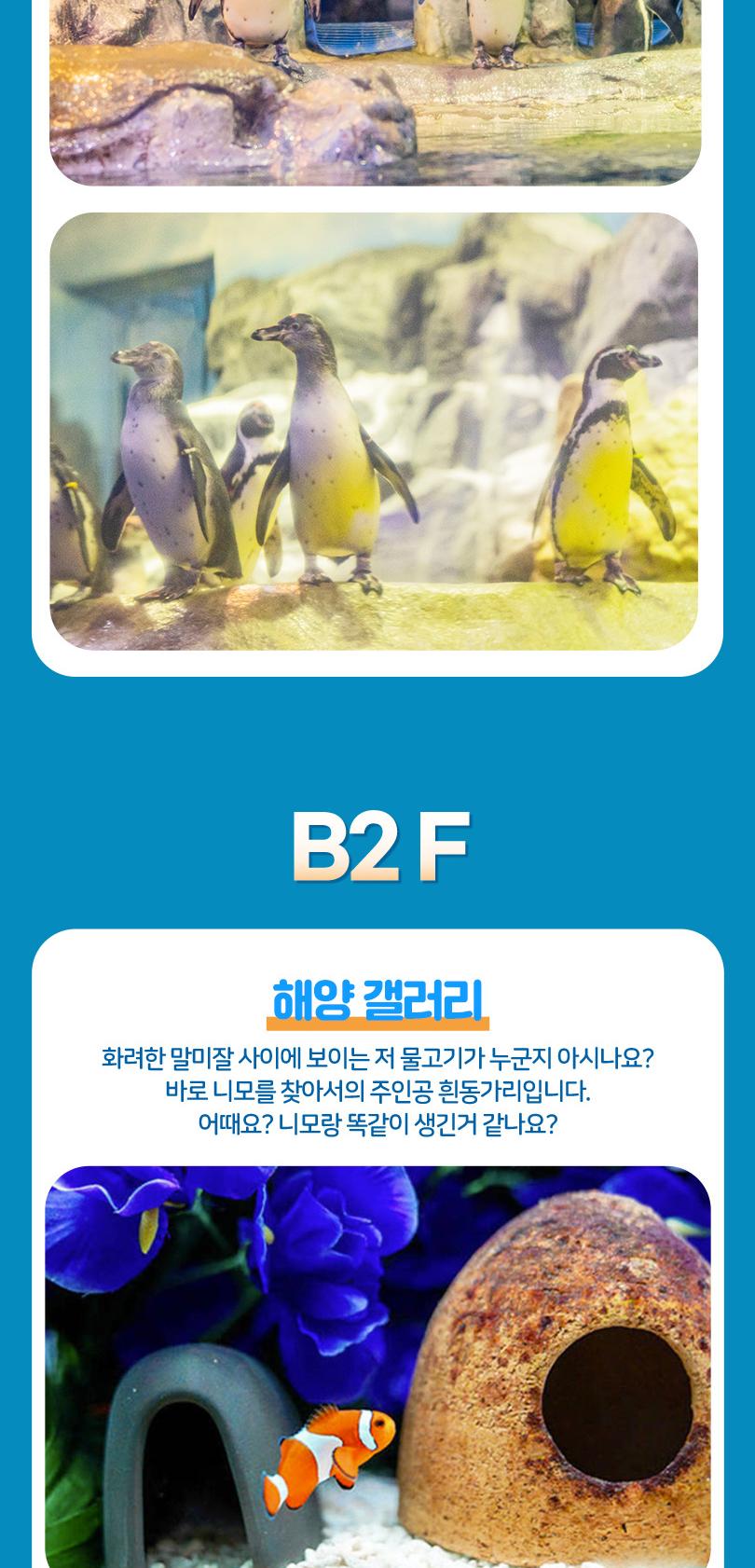 상품 상세 이미지 17