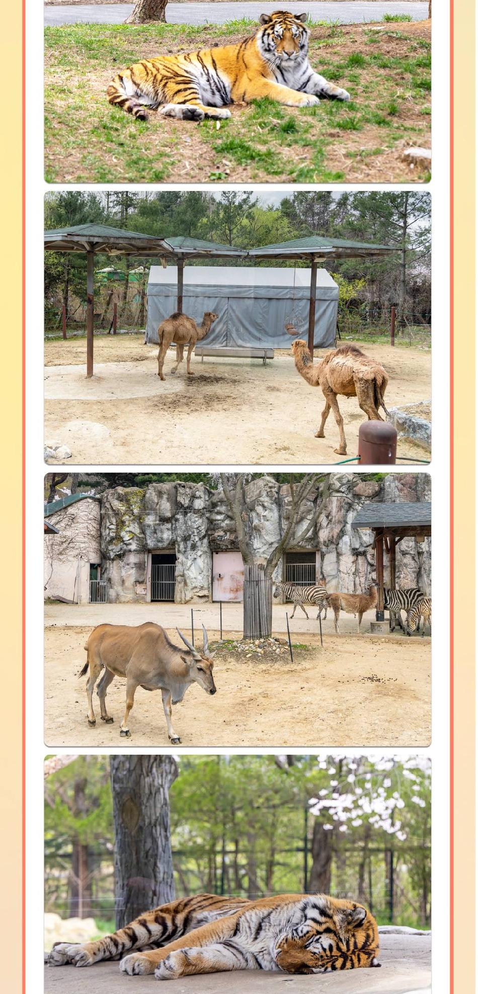 상품 상세 이미지 8