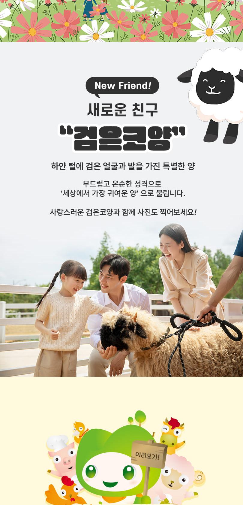 상품 상세 이미지 10
