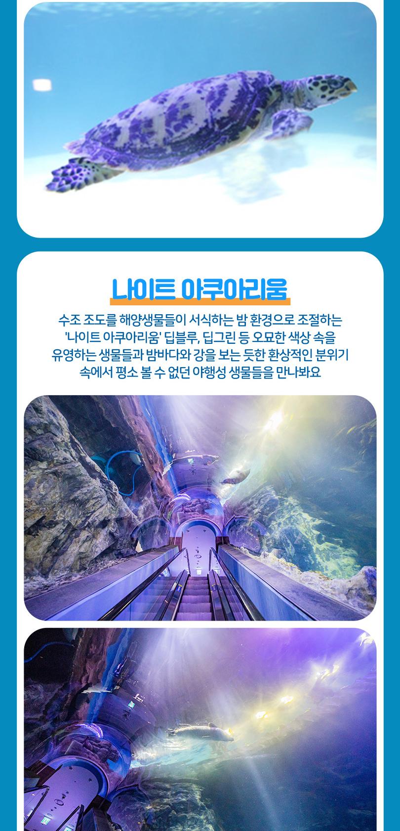 상품 상세 이미지 20