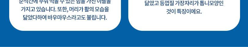 상품 상세 이미지 6