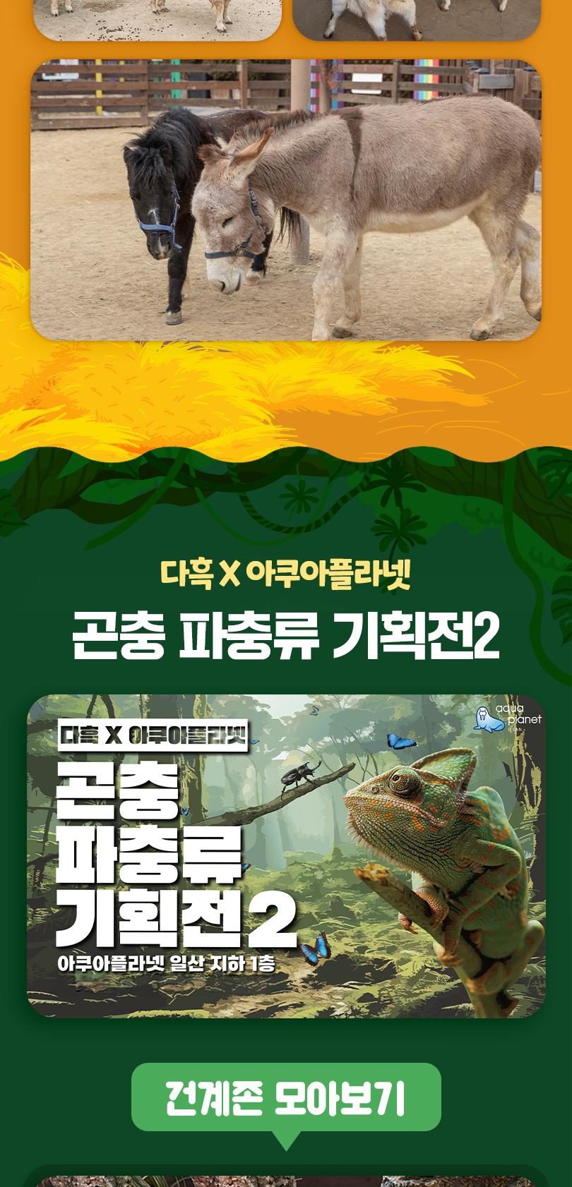 상품 상세 이미지 12