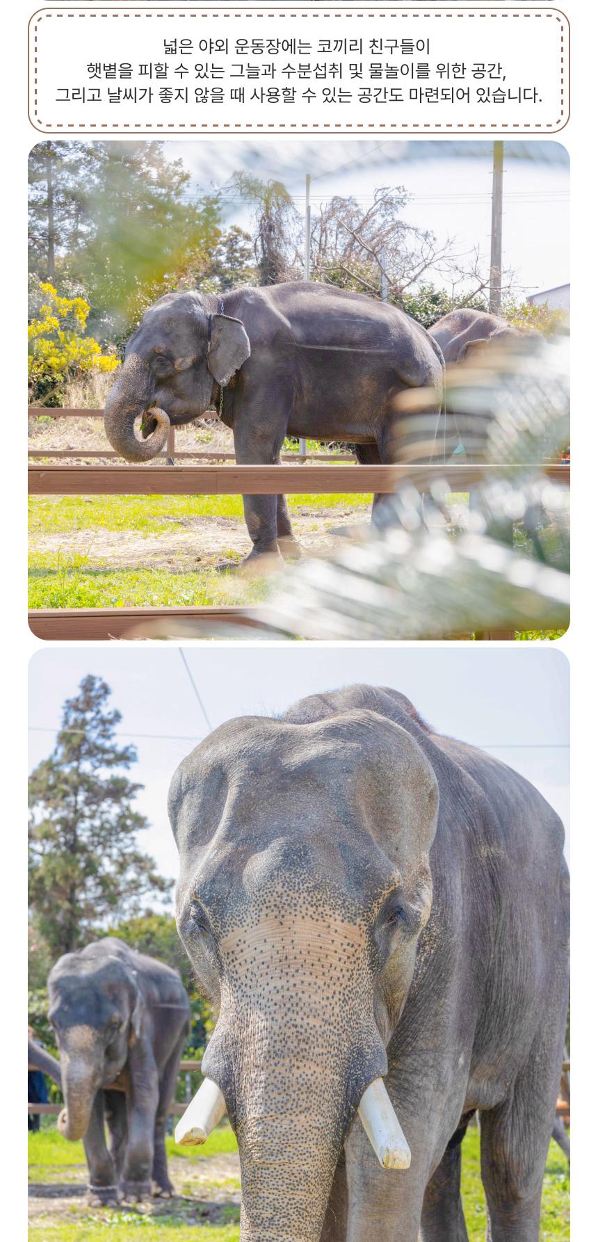 상품 상세 이미지 9