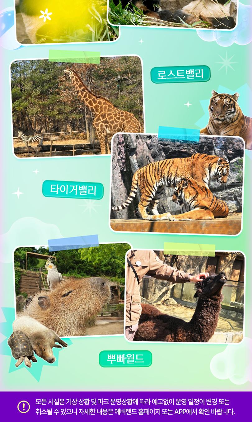 상품 상세 이미지 12