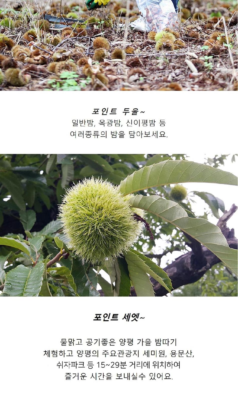 상품 상세 이미지 5