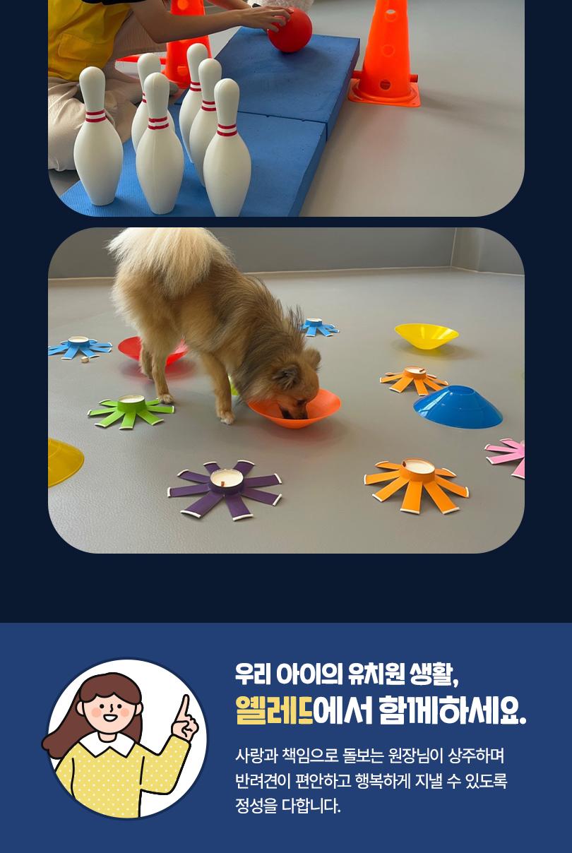 상품 상세 이미지 12