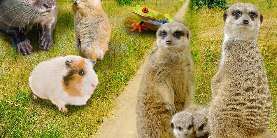 상품 상세 이미지 15