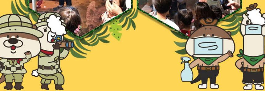preview-detail