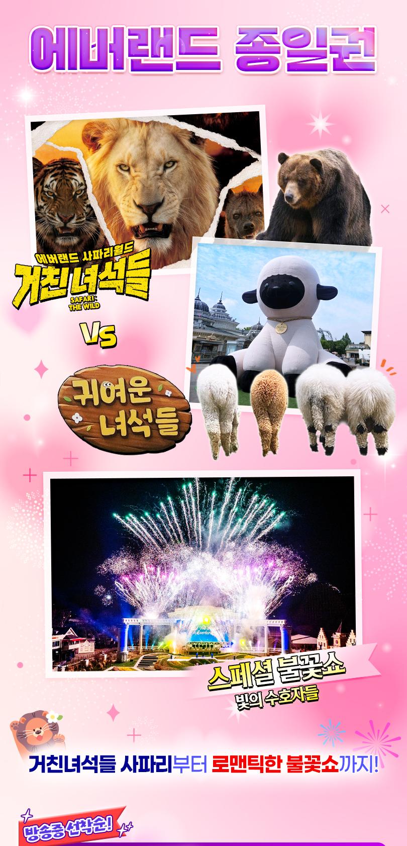 상품 상세 이미지 2