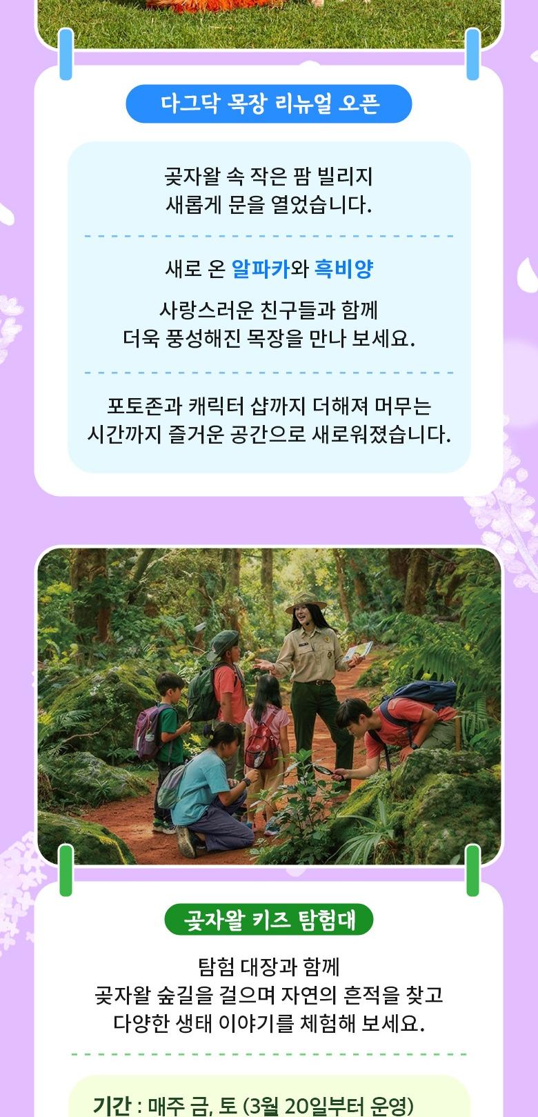상품 상세 이미지 11
