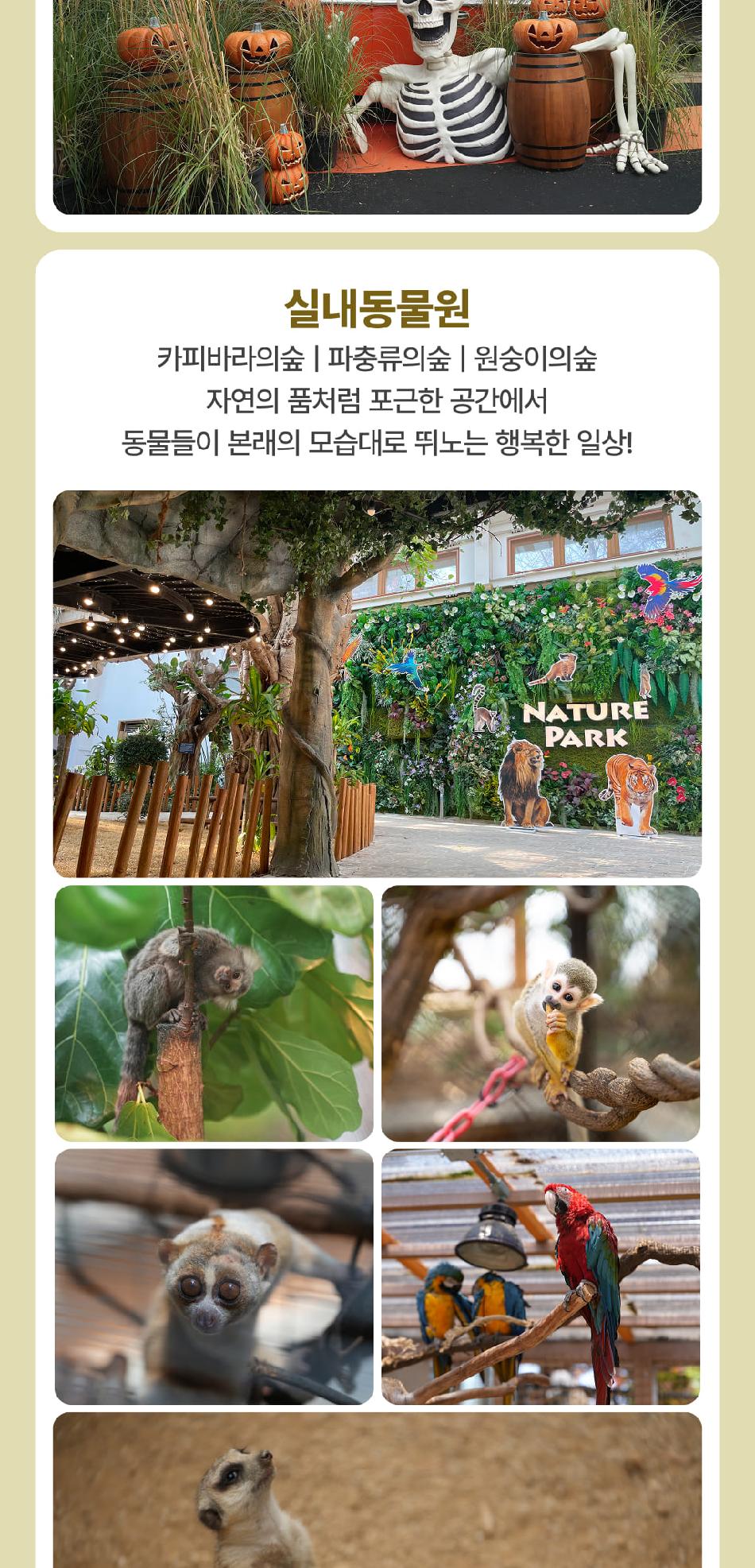 상품 상세 이미지 16