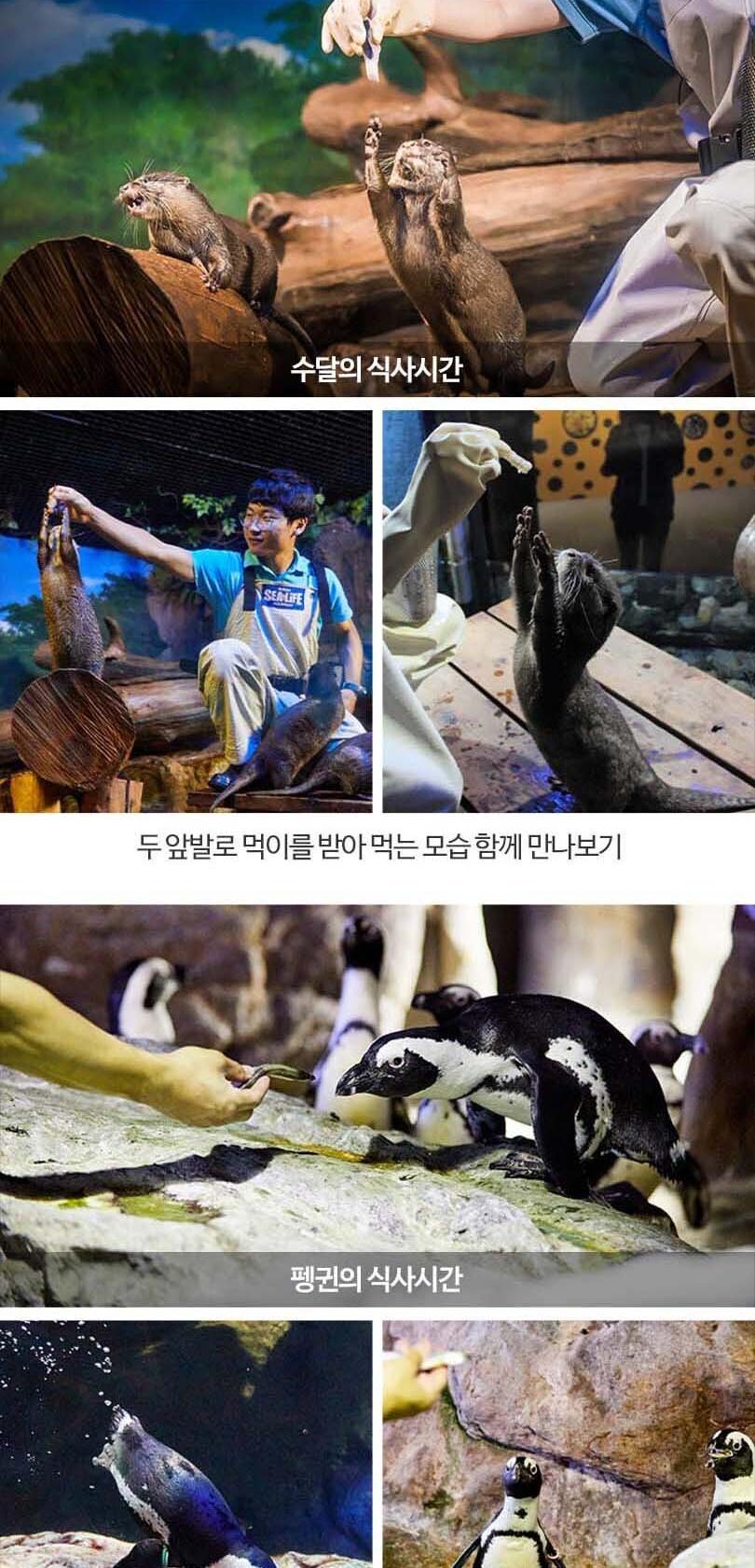 상품 상세 이미지 12