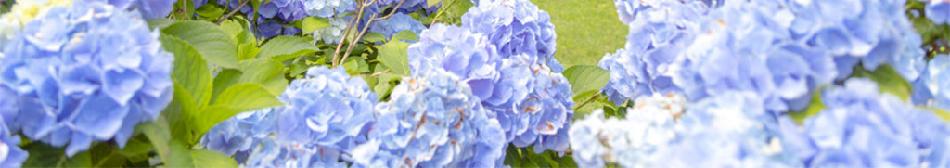 상품 상세 이미지 10