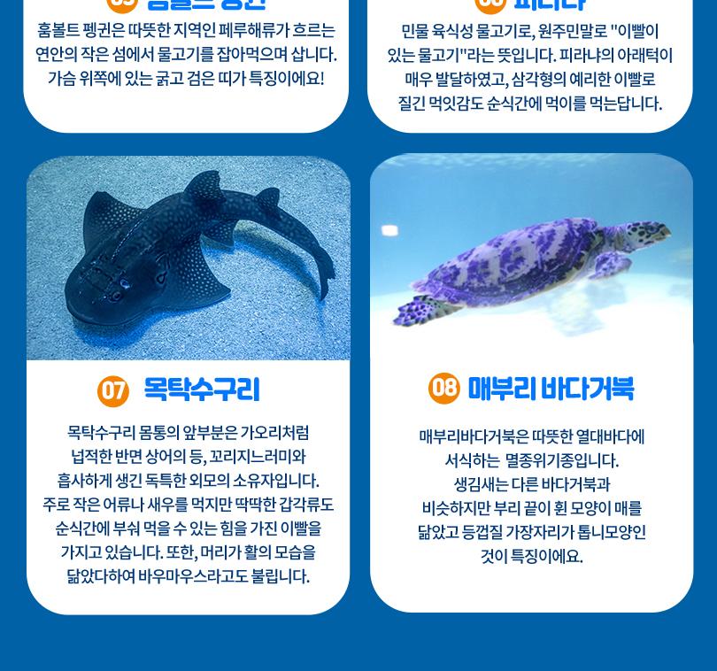상품 상세 이미지 11