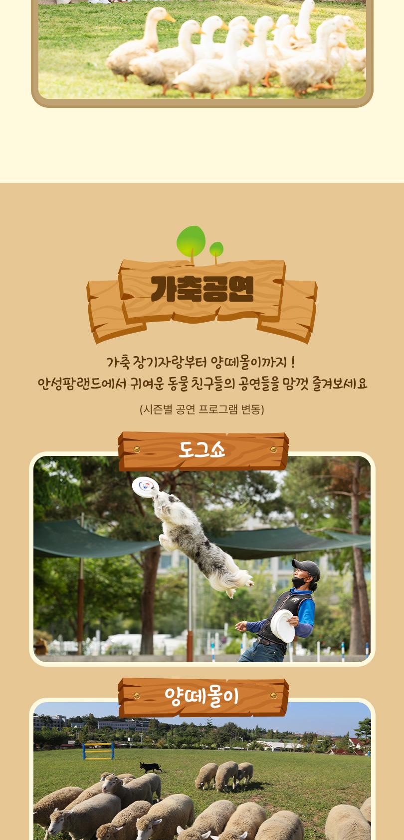 상품 상세 이미지 11