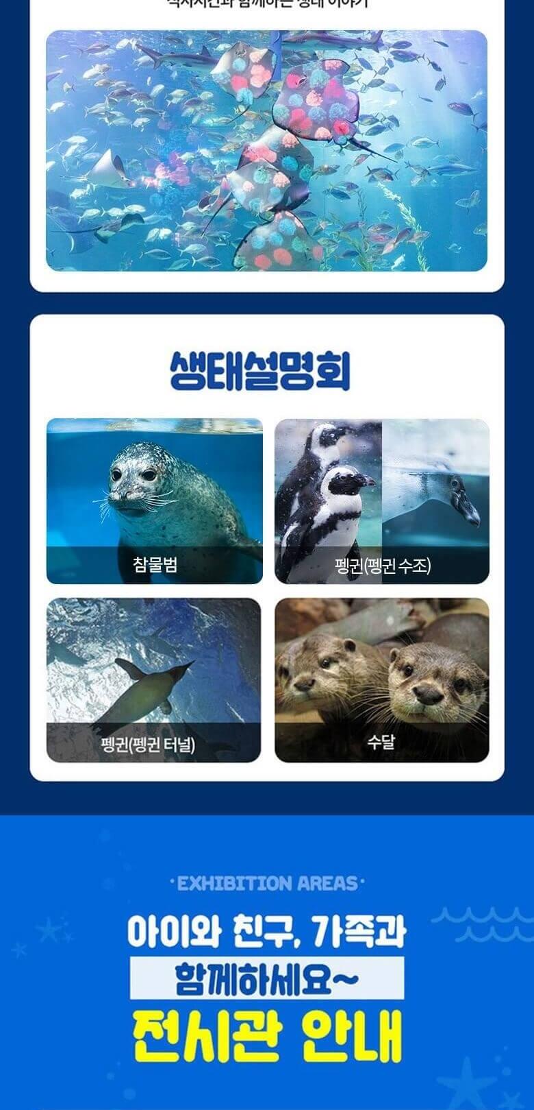 상품 상세 이미지 13