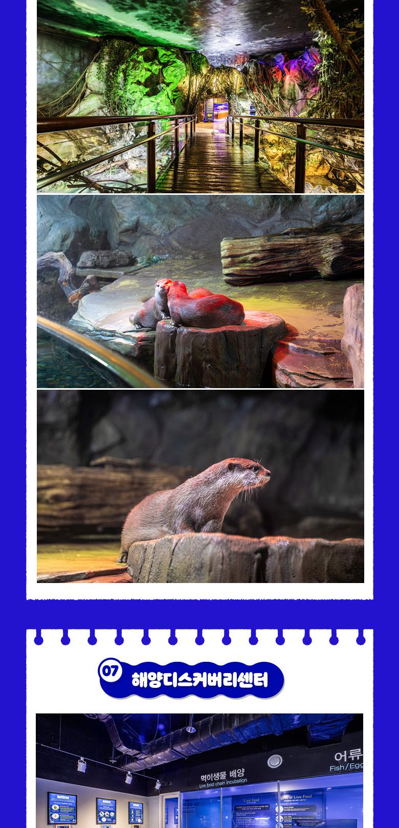 상품 상세 이미지 13