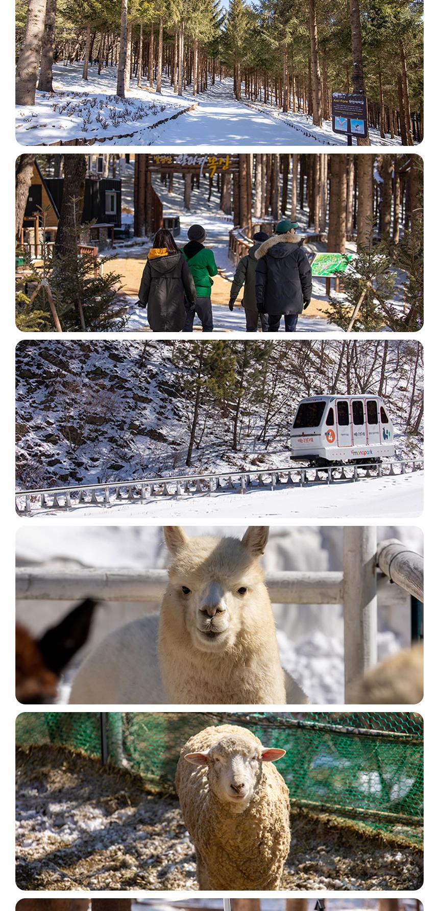 상품 상세 이미지 3