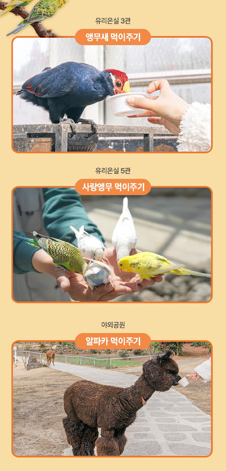 상품 상세 이미지 8