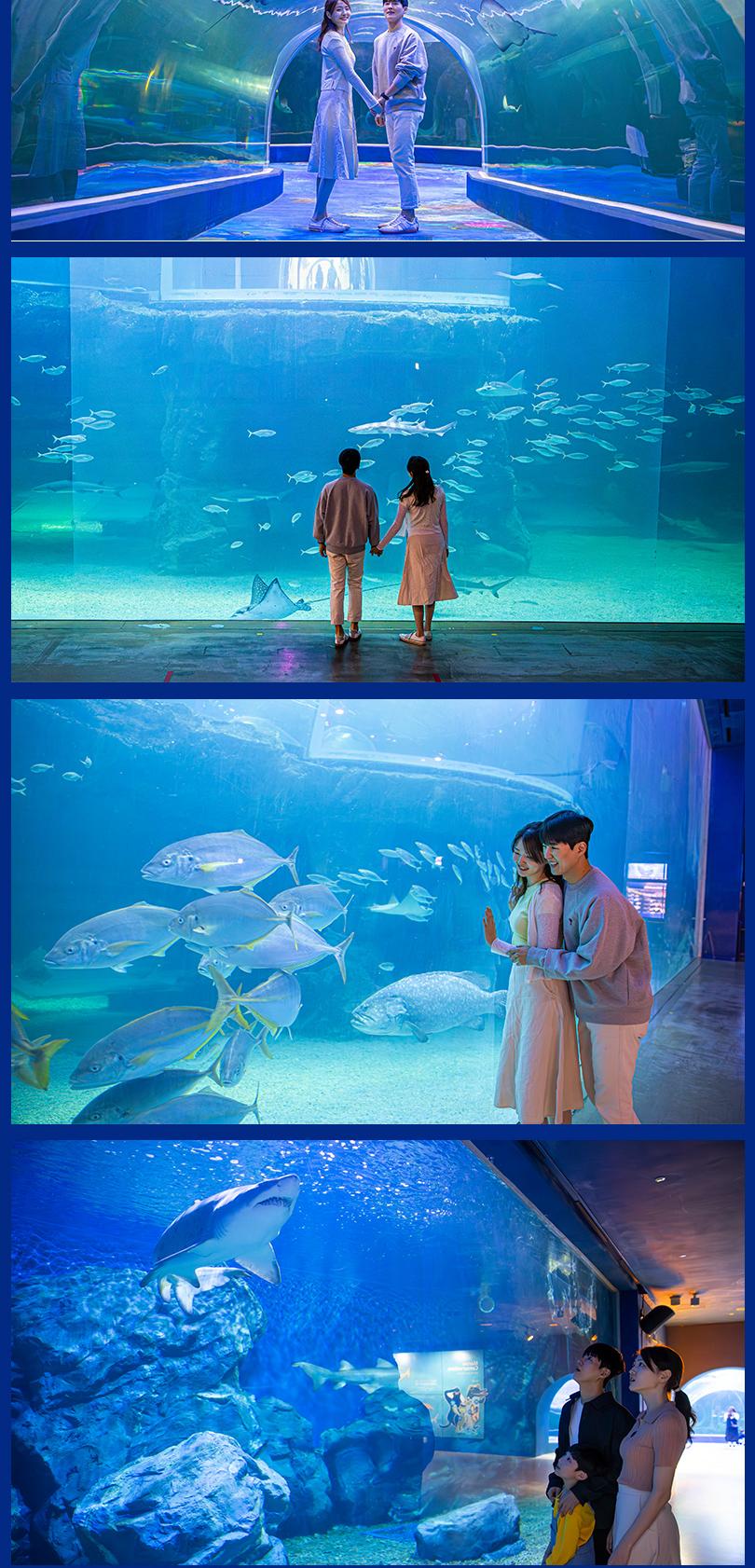 상품 상세 이미지 11