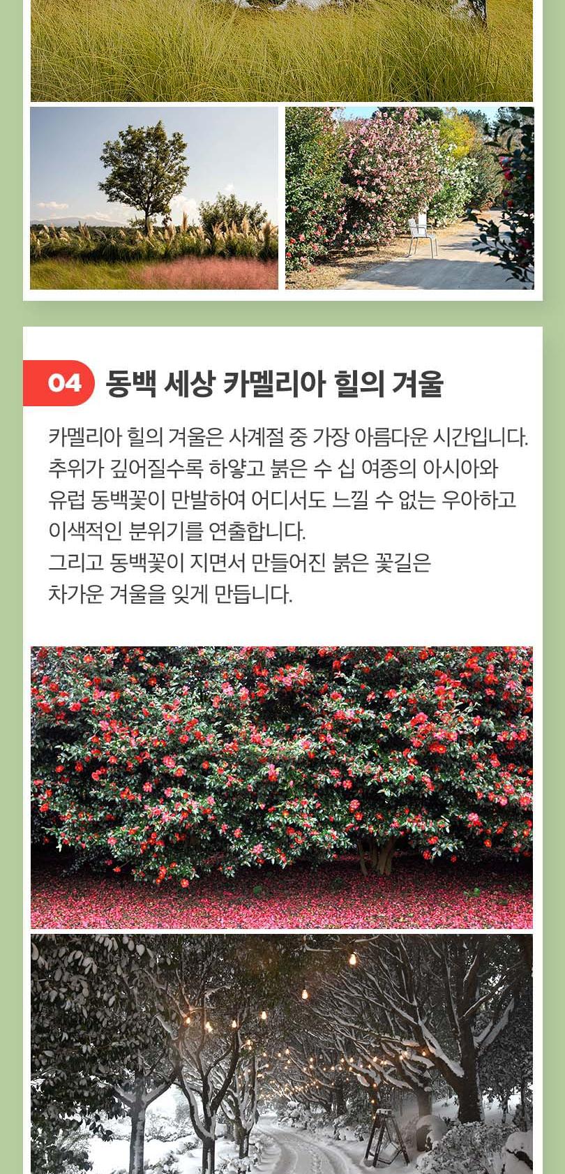 상품 상세 이미지 7