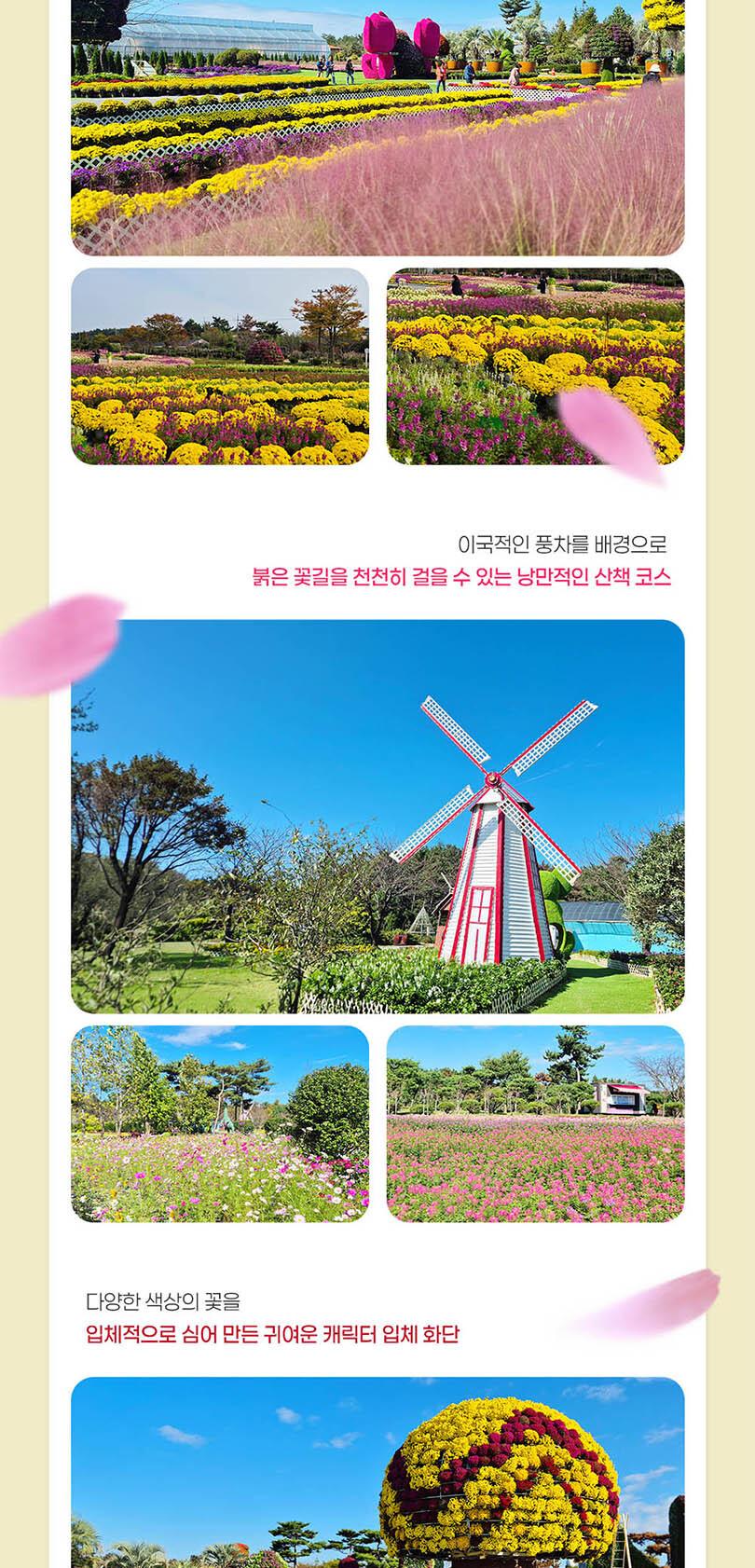 상품 상세 이미지 5