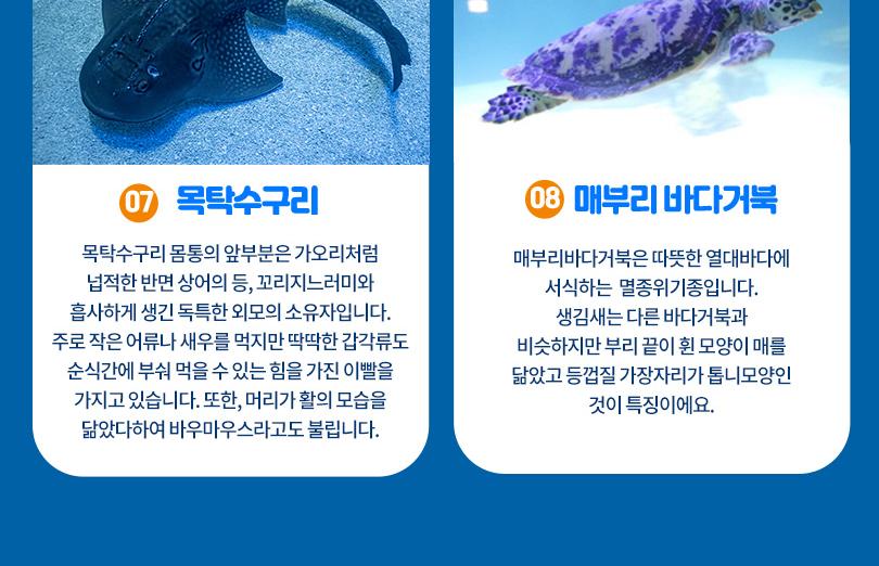 롯데월드 아쿠아리움+챔피언더블랙벨트 잠실점PKG