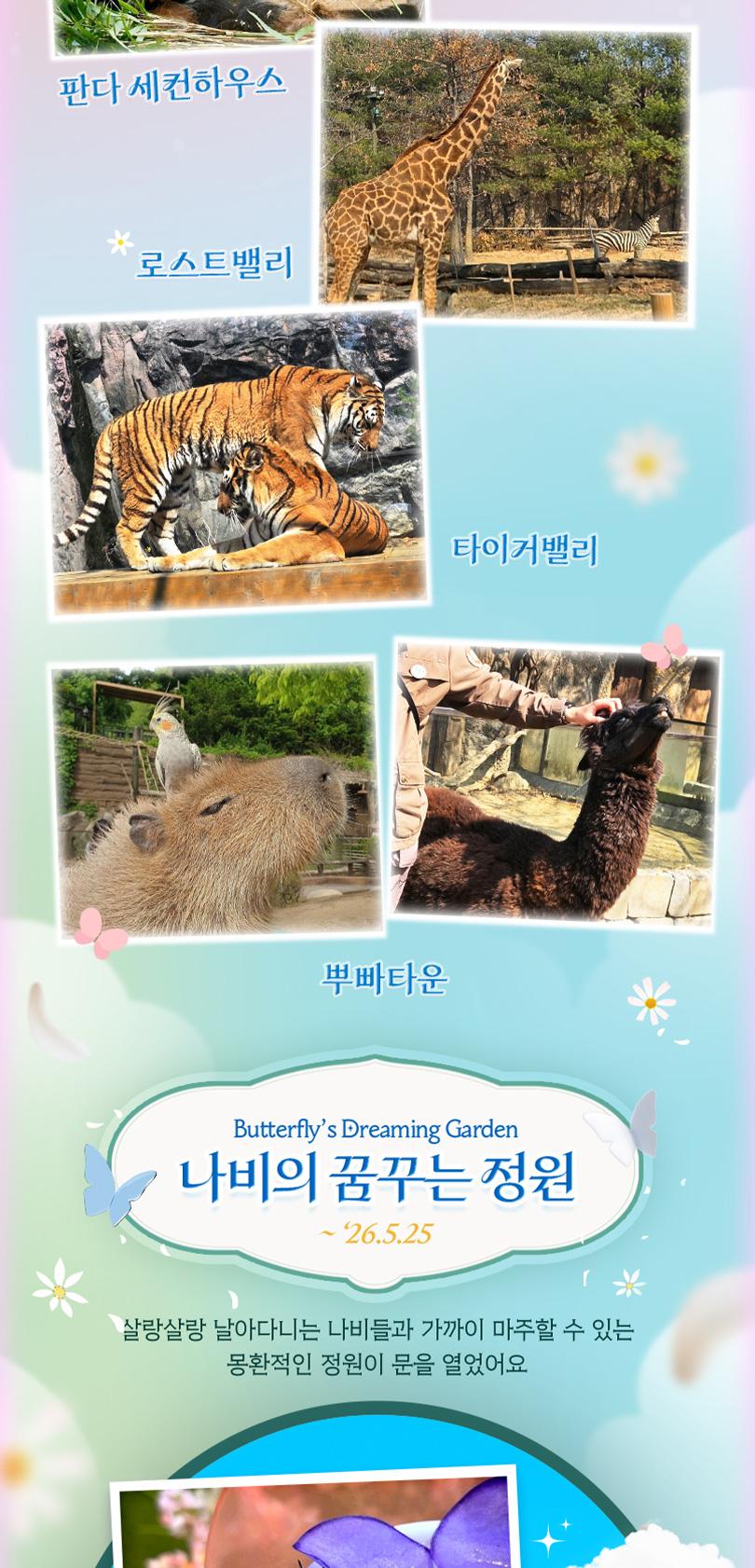 상품 상세 이미지 11