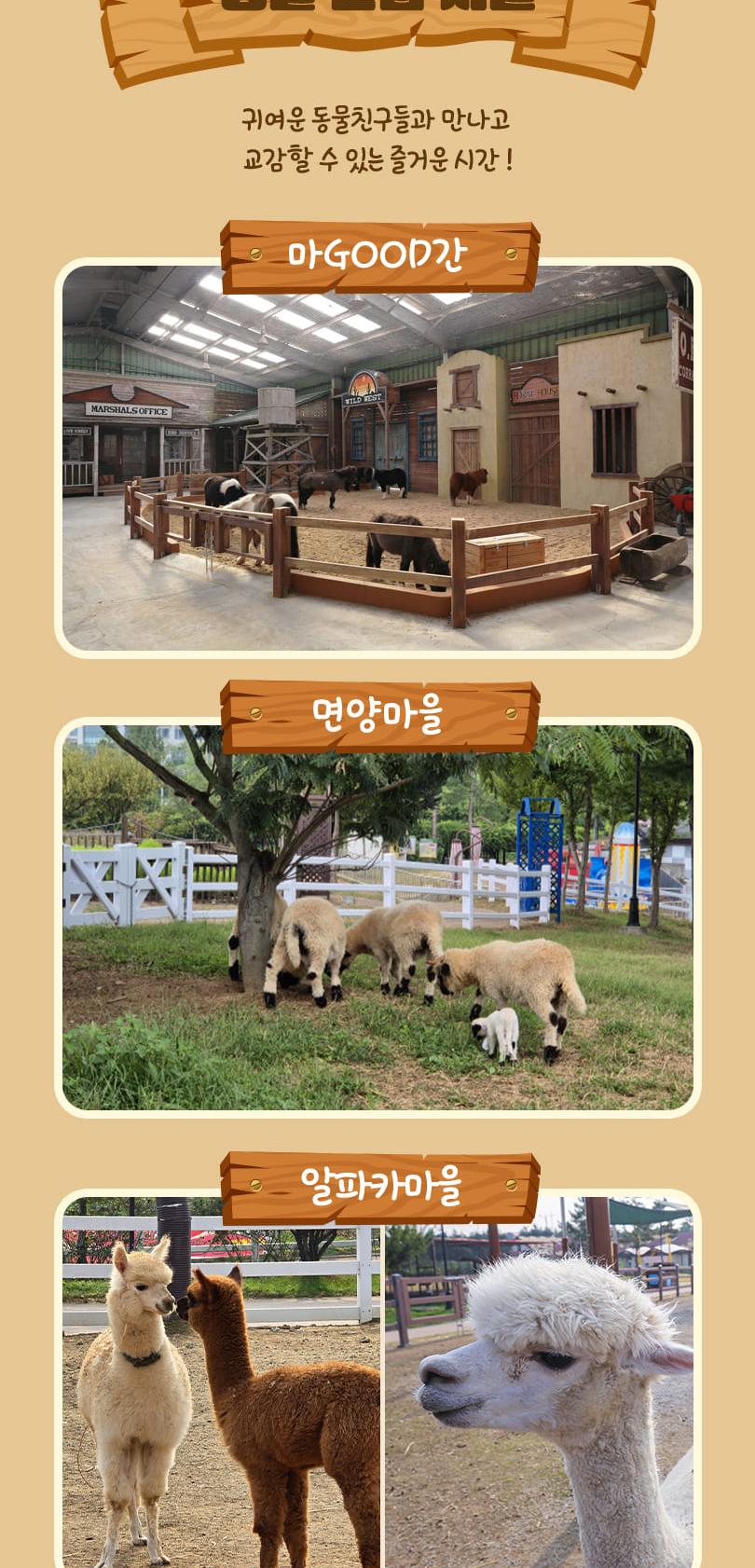 상품 상세 이미지 13