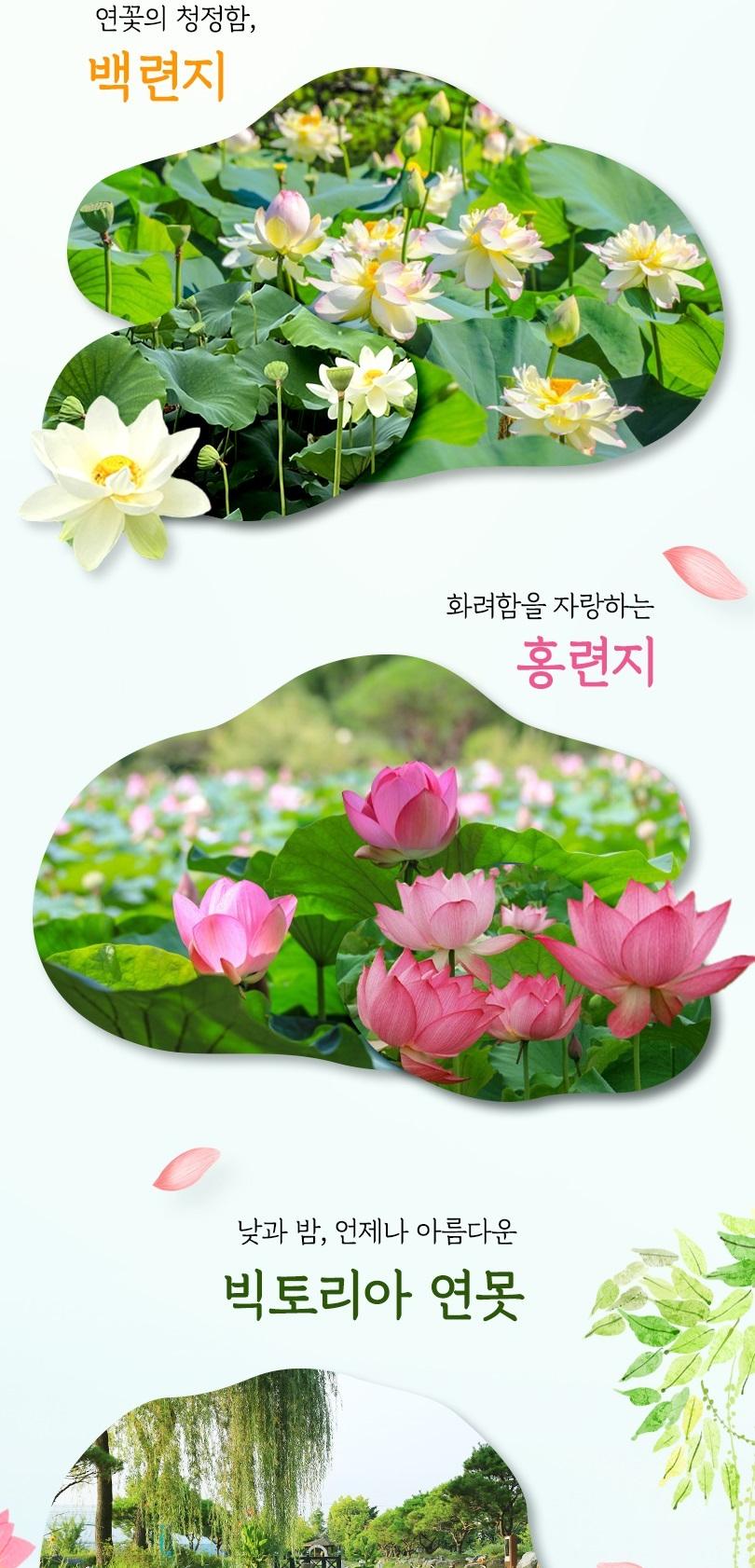 상품 상세 이미지 5