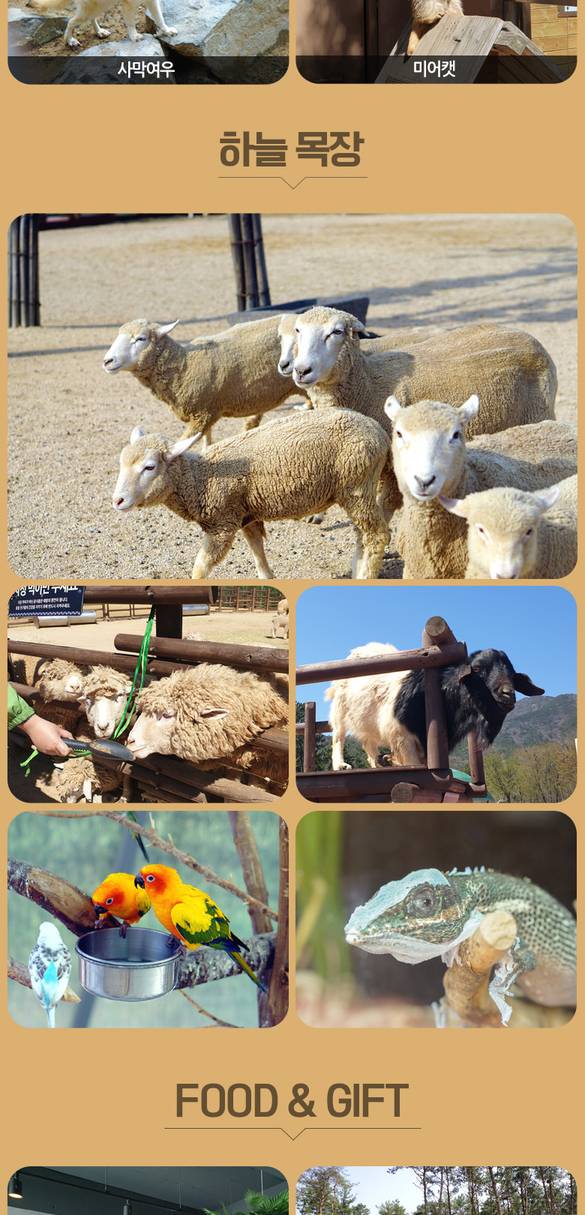 상품 상세 이미지 8