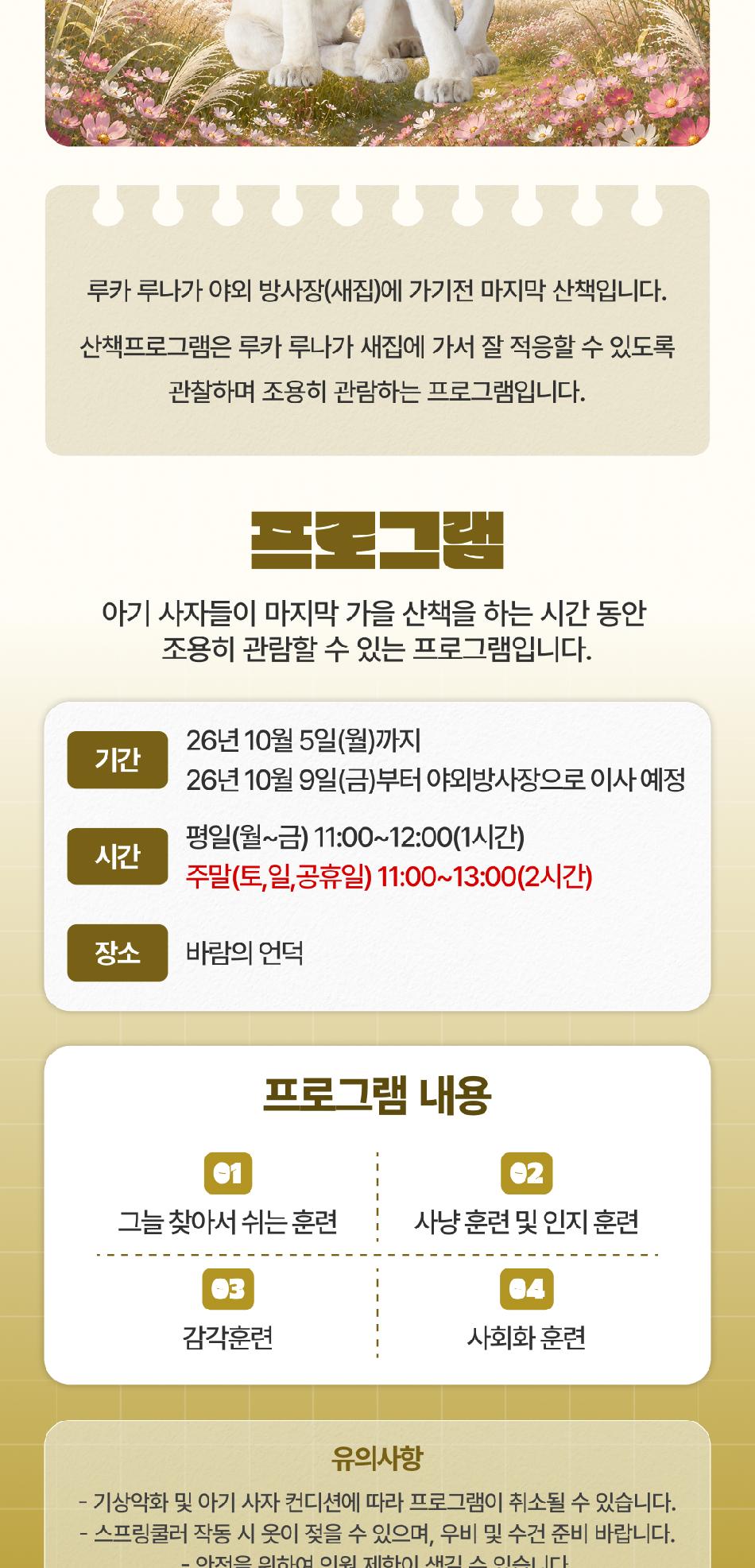 상품 상세 이미지 4