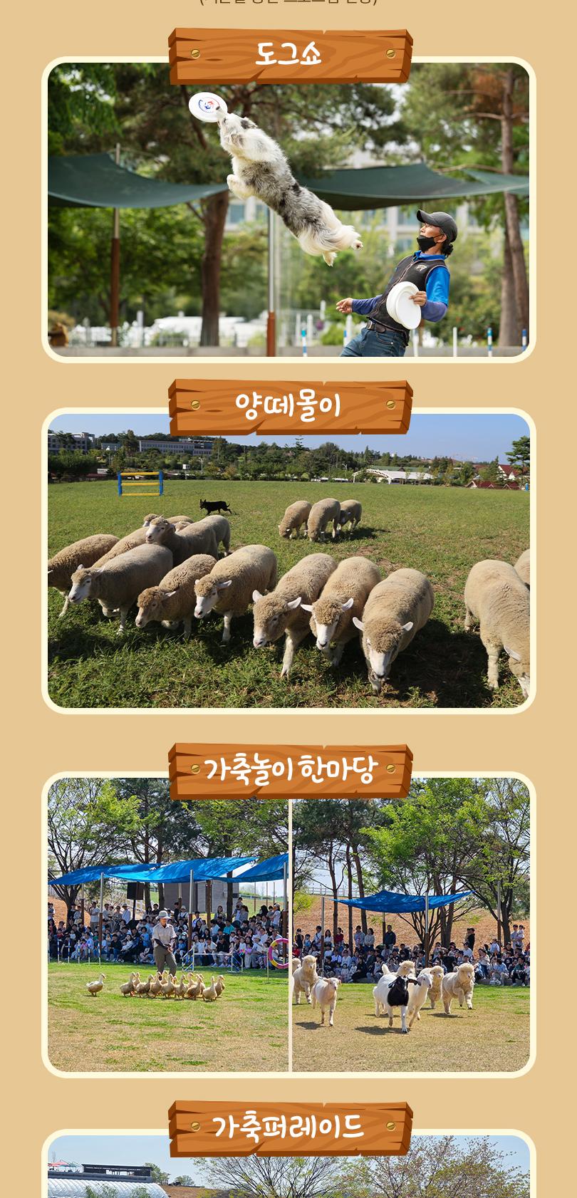 상품 상세 이미지 13