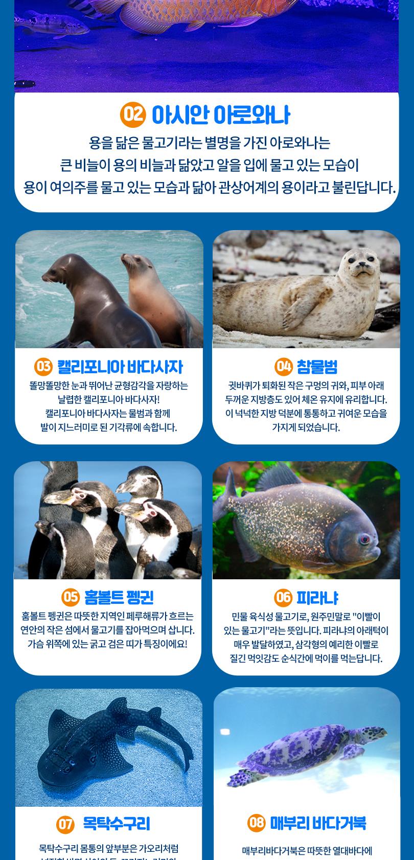 상품 상세 이미지 10