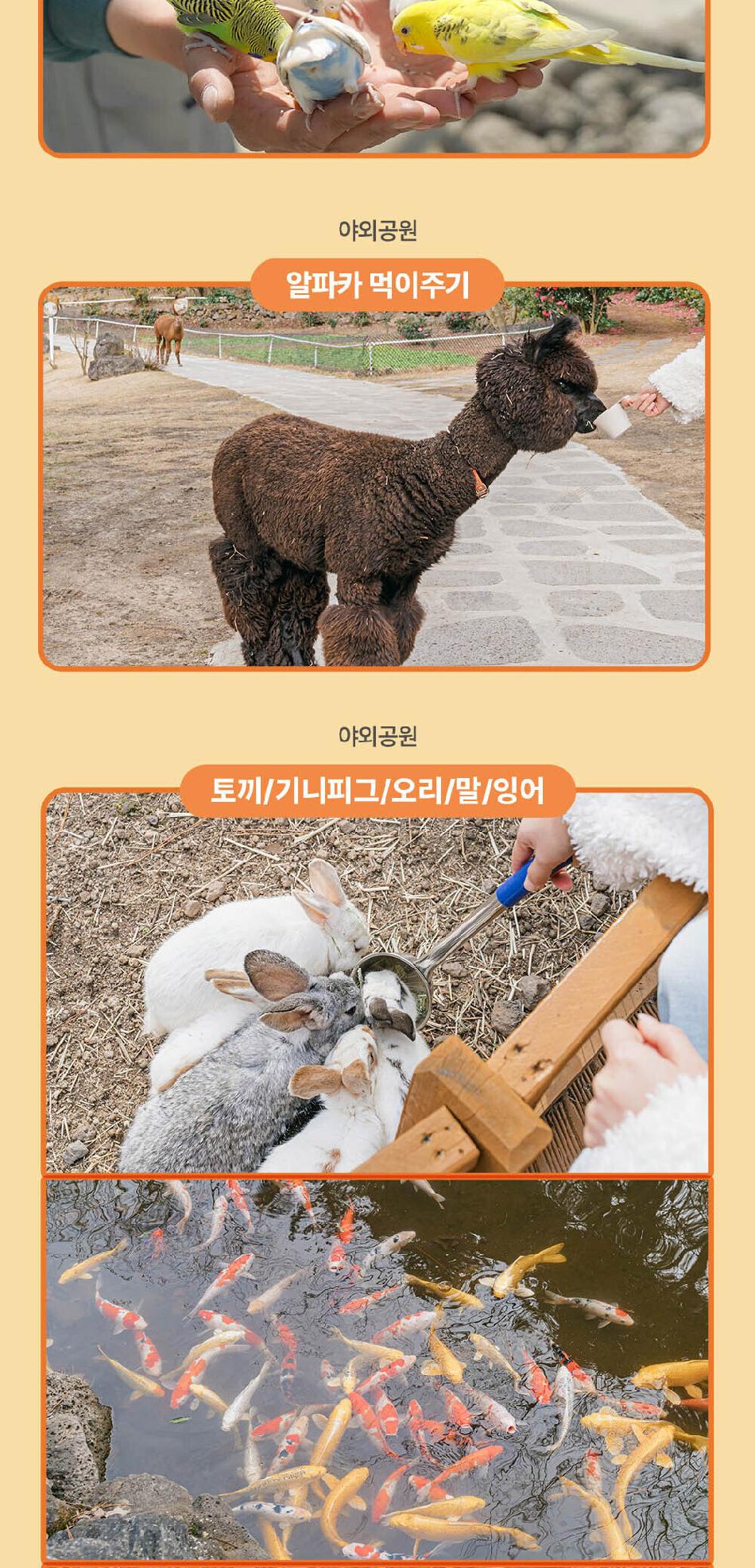 상품 상세 이미지 8