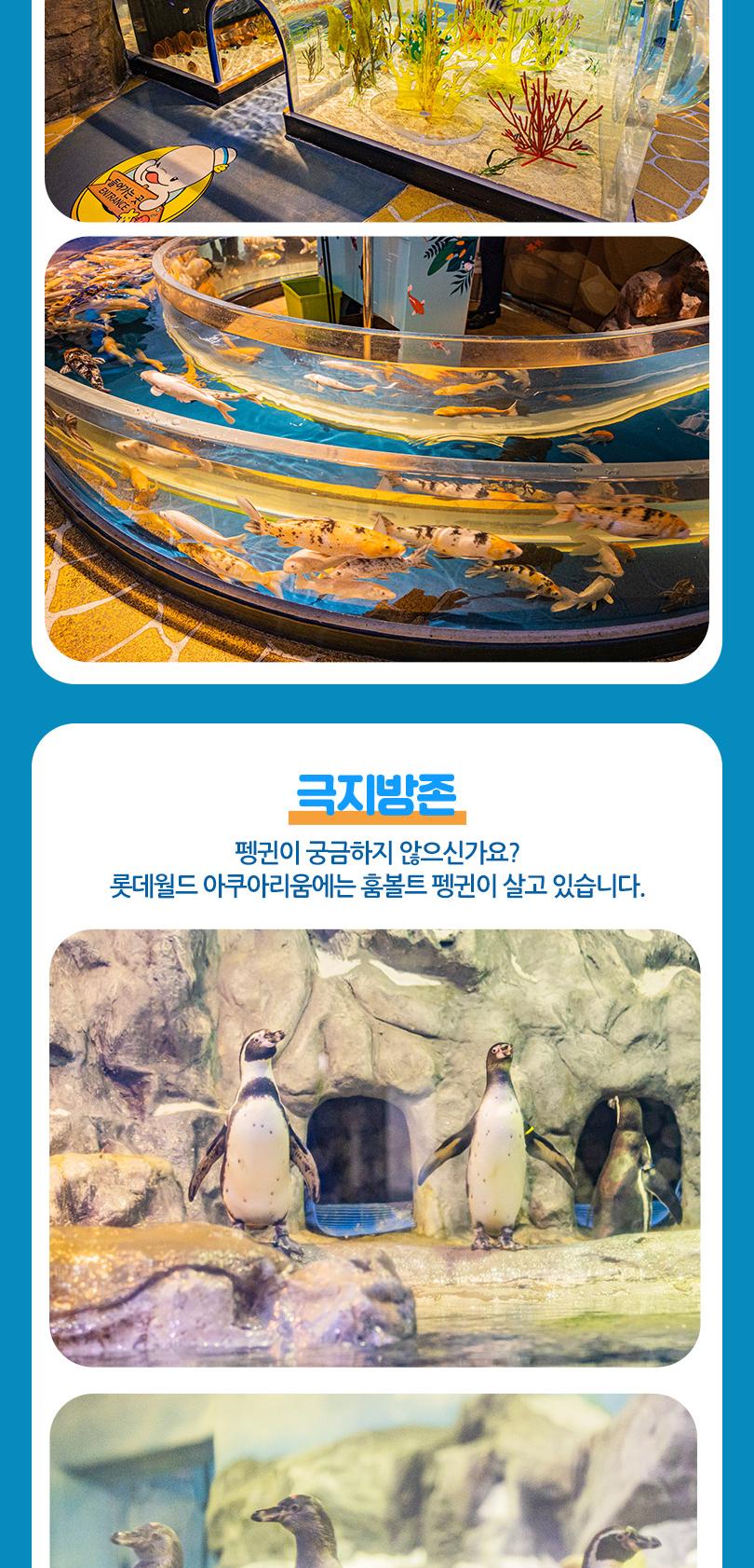 상품 상세 이미지 16