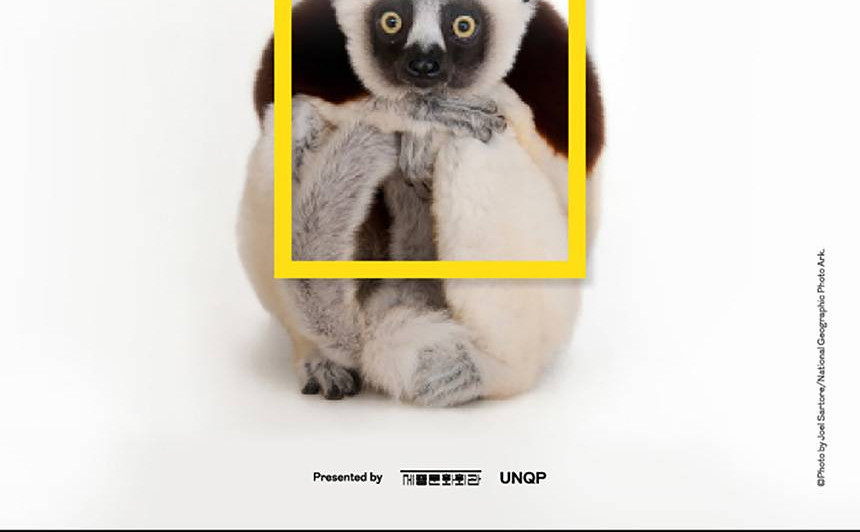 상품 상세 이미지 2