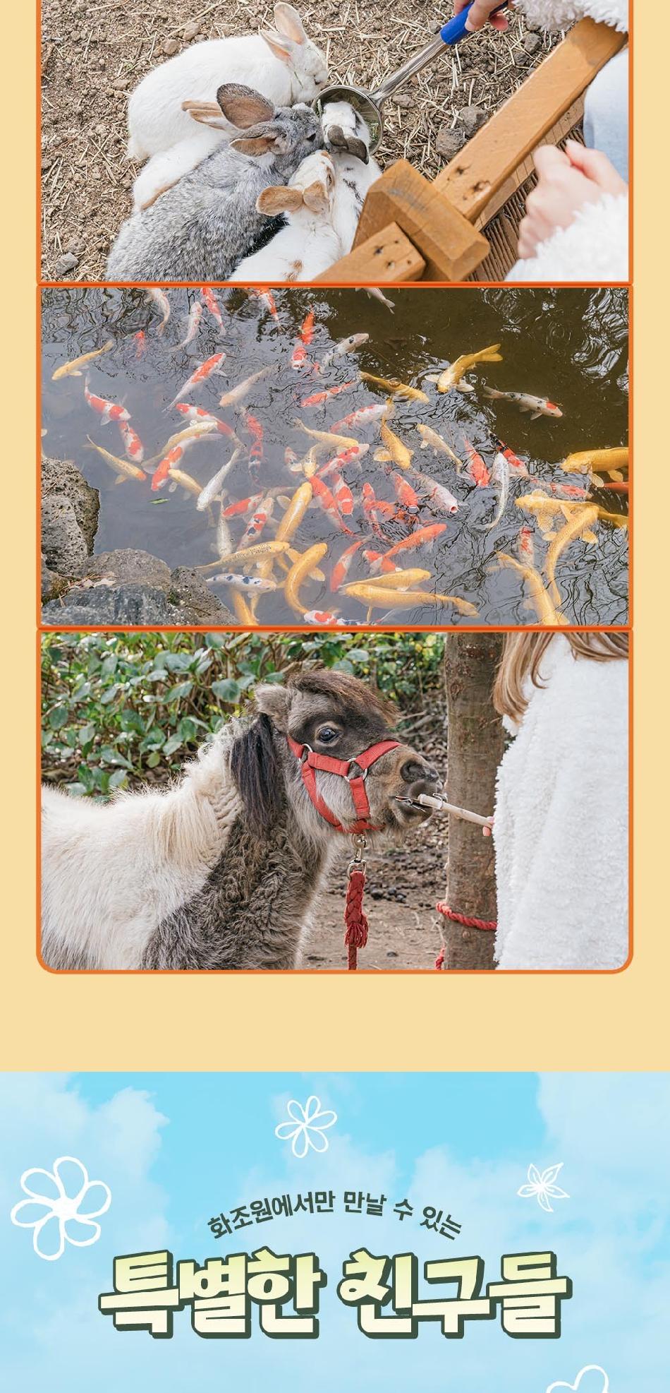 상품 상세 이미지 8