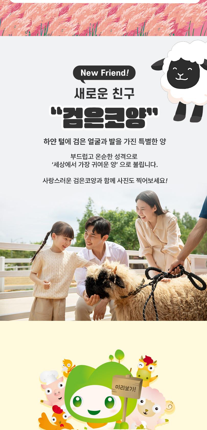 상품 상세 이미지 11