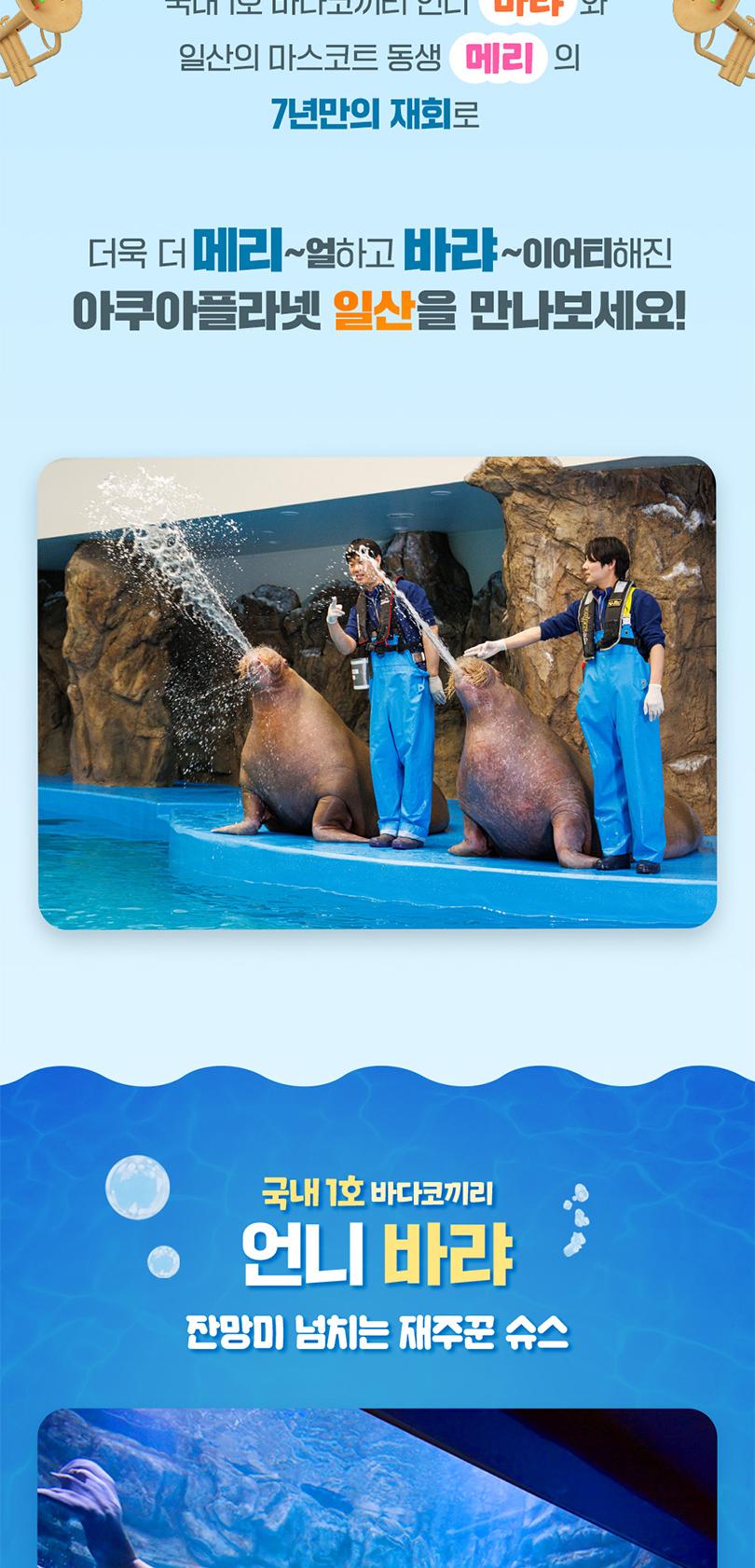 상품 상세 이미지 2