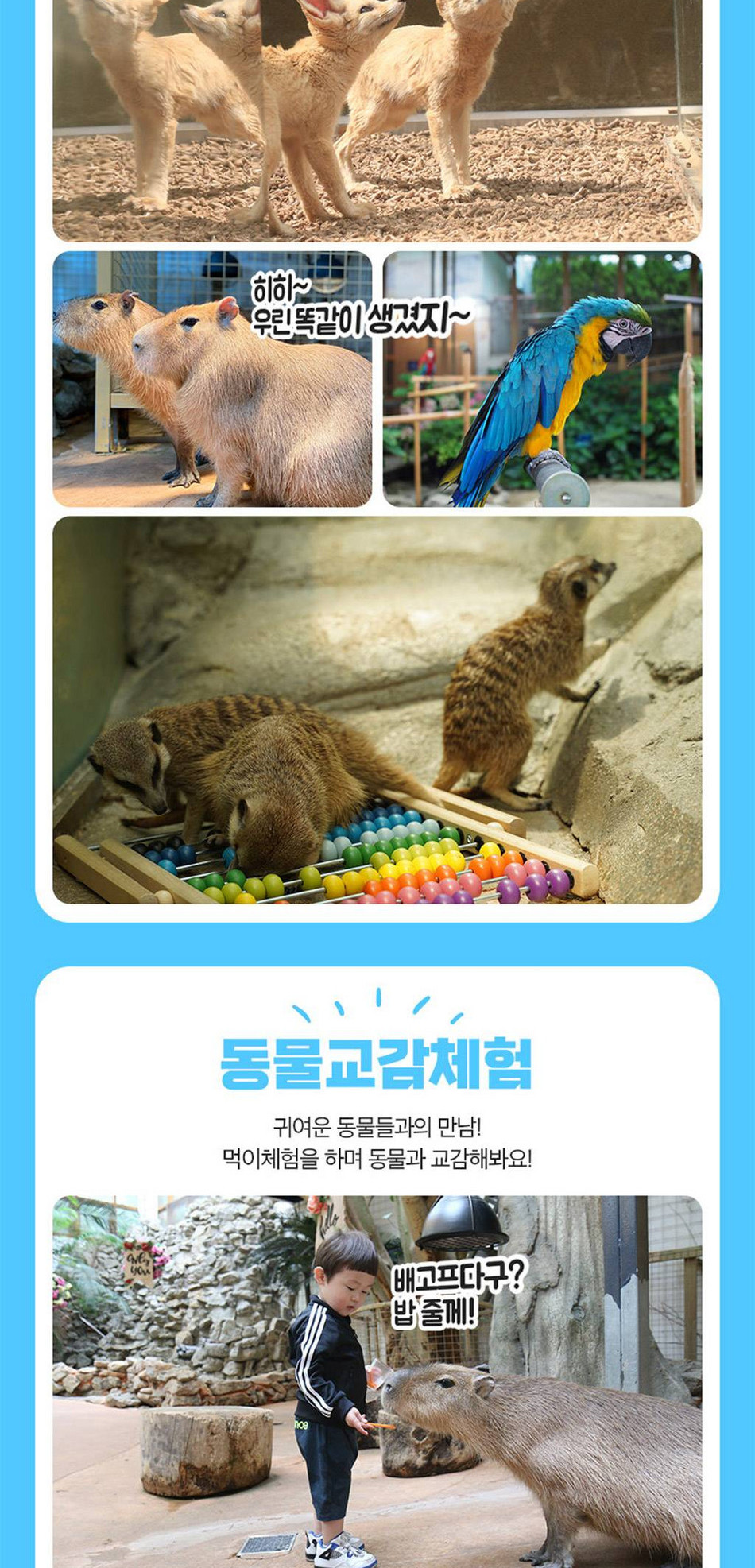 상품 상세 이미지 6