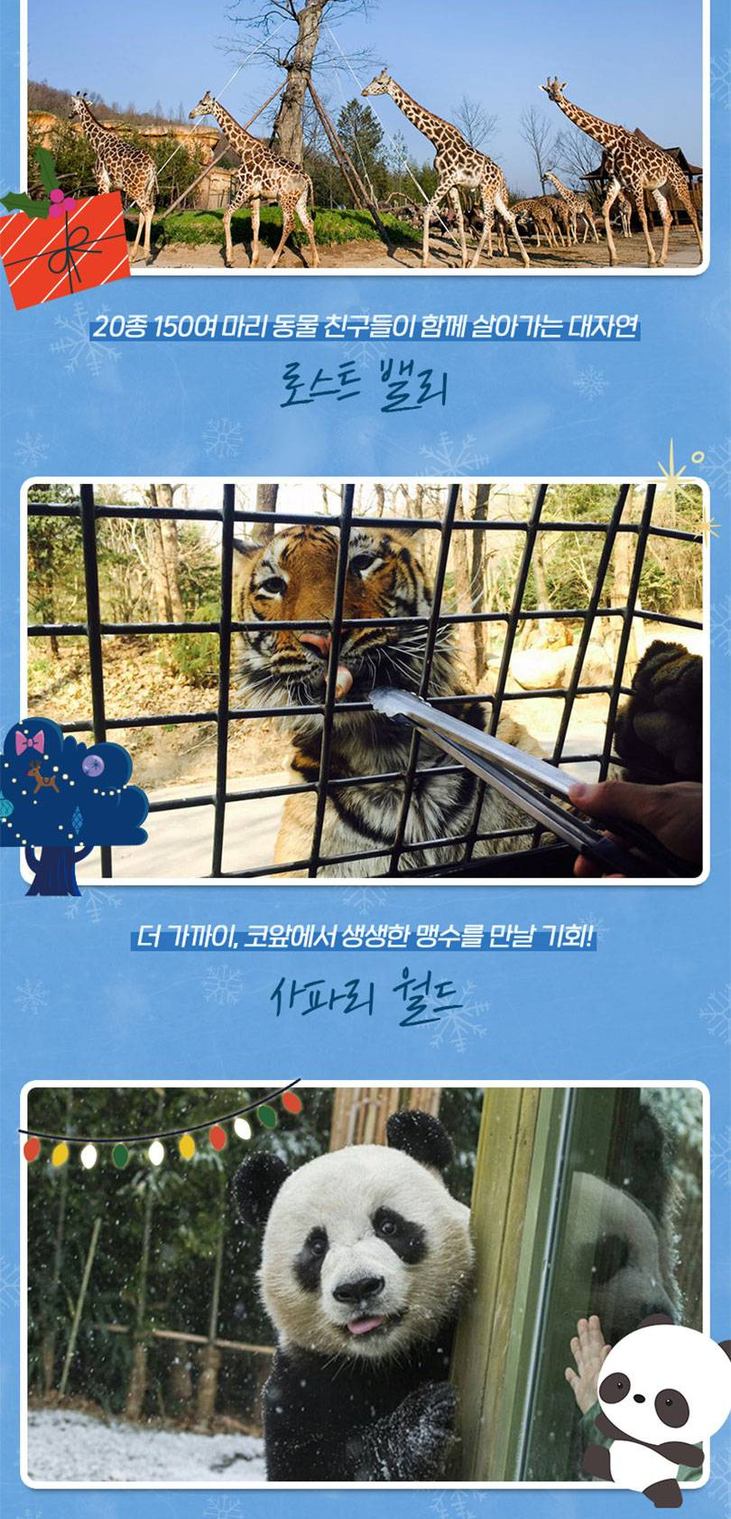 상품 상세 이미지 11