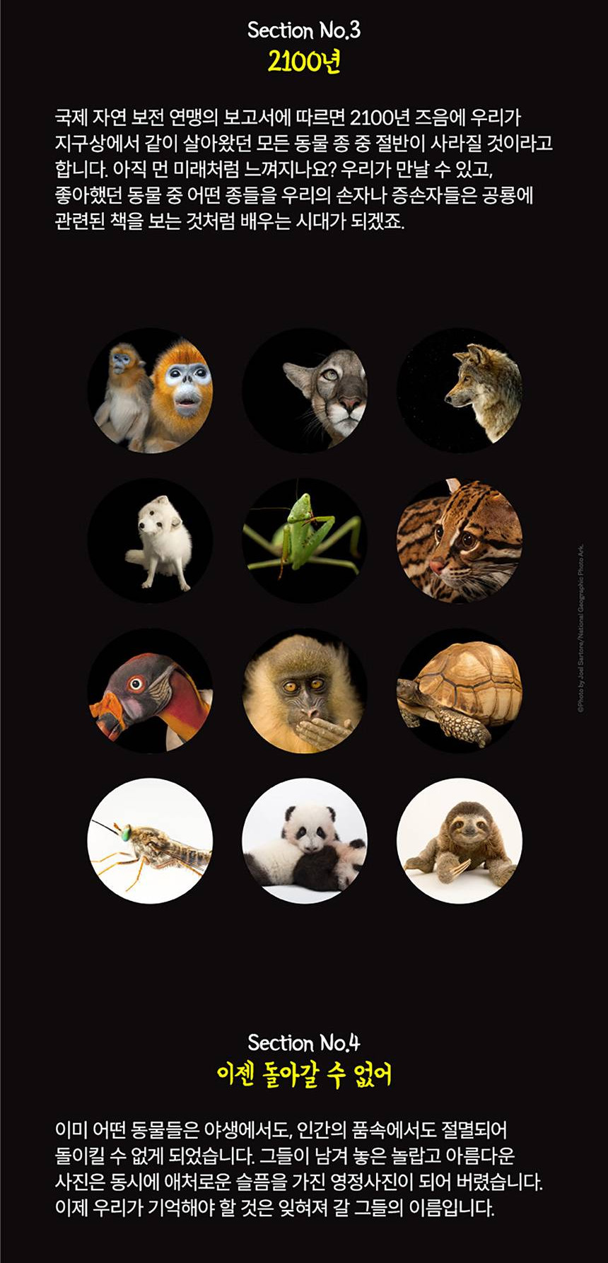 상품 상세 이미지 9