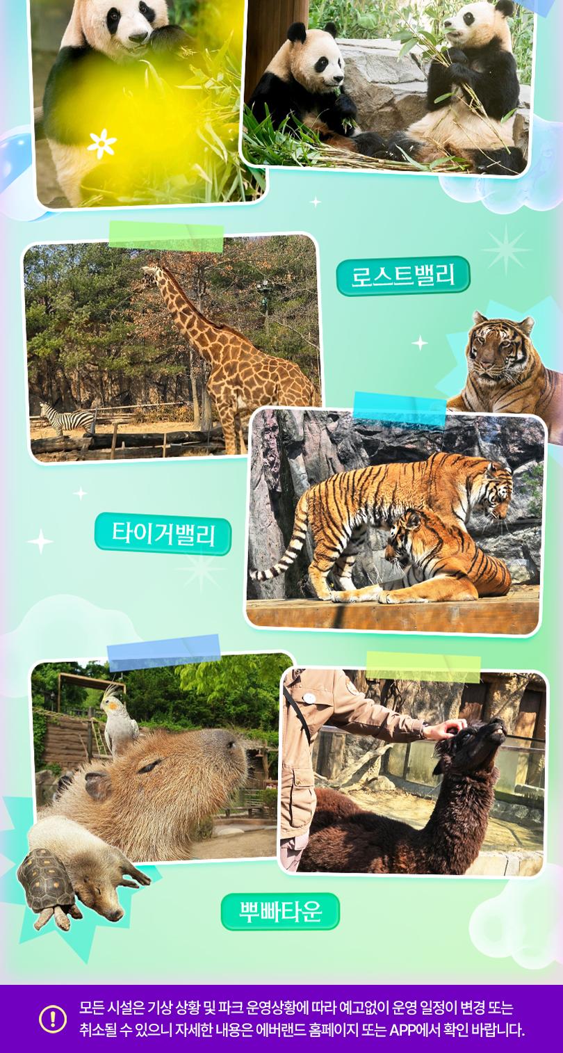 에버랜드 종일이용권+ Q-PASS 2종 패키지