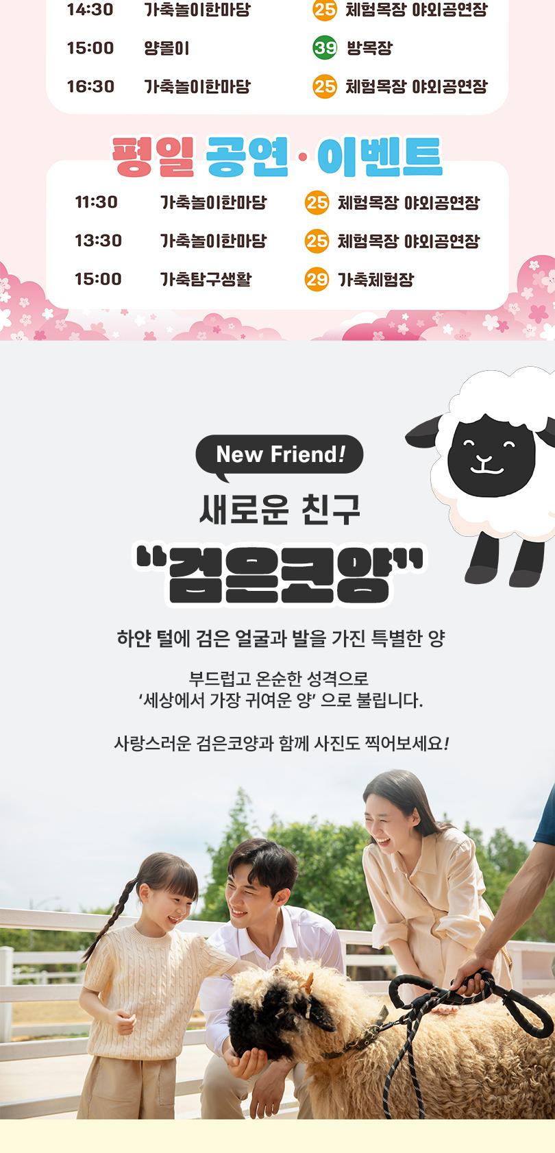 상품 상세 이미지 11